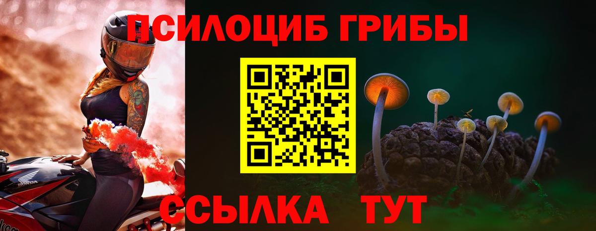 Гатчина  Псилоцибиновые грибы MAGIC MUSHROOMS  Вход с VPN 
